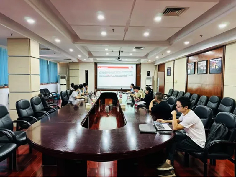 湖南新汇制药股份有限公司数字化改造项目验收现场