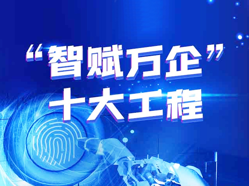 一图读懂湖南“智赋万企”行动十大工程