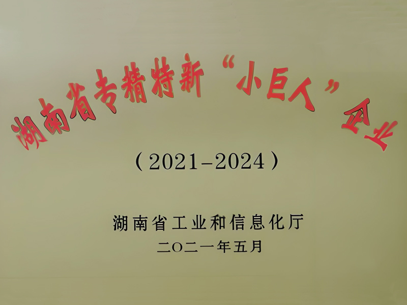 关于支持“专精特新”中小企业高质量发展的通知