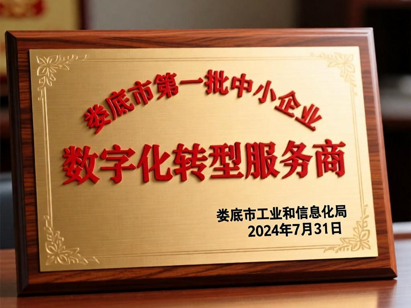 中皓科创成功入选娄底市第一批中小企业数字化转型服务商