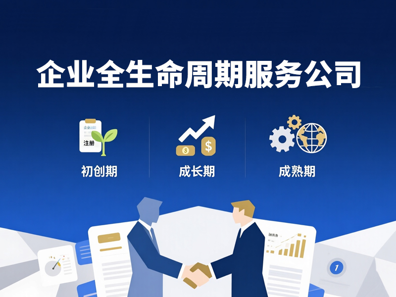 企业全生命周期服务公司