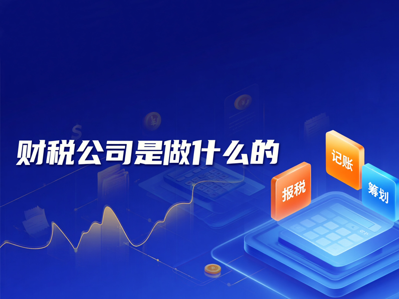 财税公司是做什么的