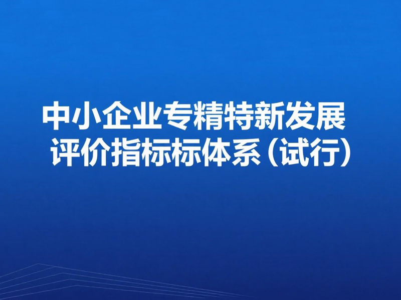 中小企业专精特新发展评价指标体系（试行）